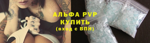 крисы Алзамай