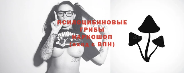 марки lsd Алексеевка