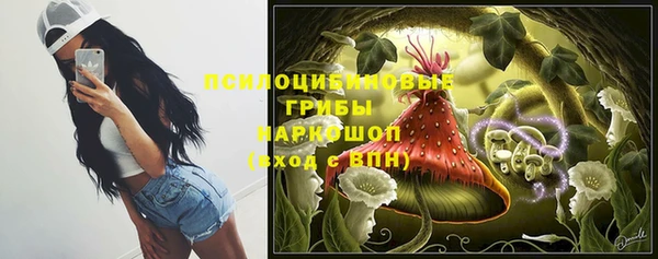крисы Алзамай